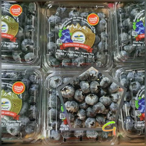 Peru Premium Snowy Mountains Blueberries (Size Jumbo 17mm+).jpeg