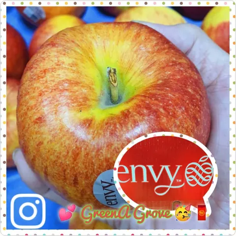 New Zealand Premium Extra Fancy Envy Apples