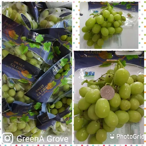 Air-Flown USA Premium Top Brass Green Seedless Grapes (Sweet Globe ®) (Size XL)