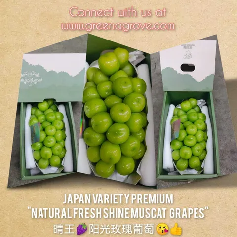 Air-Flown Japan Variety Premium Luxe Season Natural Fresh Shine Muscat Grapes 奢时季阳光玫瑰葡萄