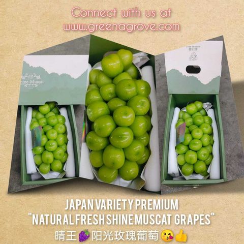 Air-Flown Japan Variety Premium Luxe Season Natural Fresh Shine Muscat Grapes 奢时季阳光玫瑰葡萄