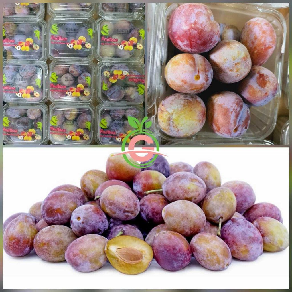 Fruitbee Premium Honey Plums:Sugar Prunes 蜜枣