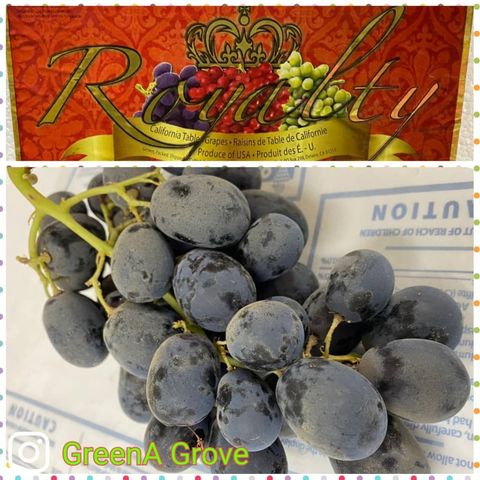 Air-Flown USA Premium Illume Black Seedless Grapes (Adora)