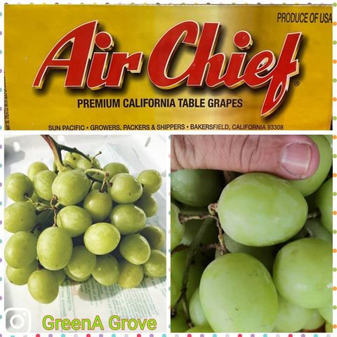 Air-Flown USA Premium Green Seedless Grapes (Autumn Crisp) (Size XL-XXL)