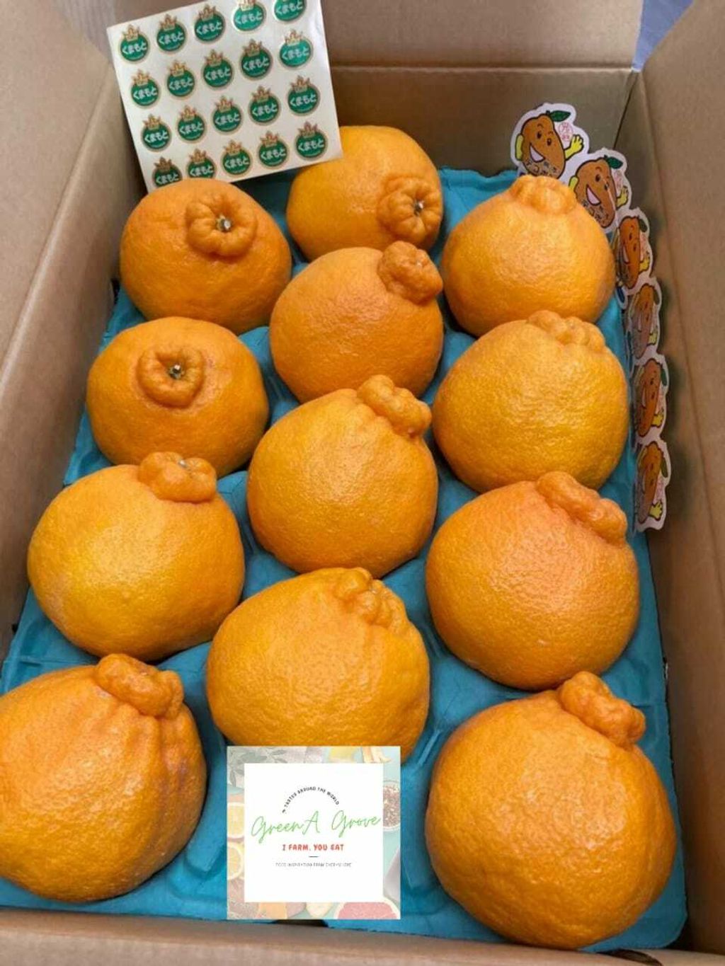 Japan Premium Dekopon Sumo Oranges 日本特秀丑橘 デコポン