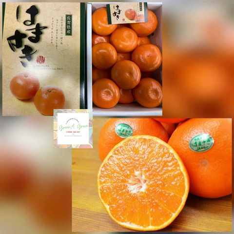 Japan Premium Hamasaki Sweet Mikan Mandarins 日本特秀佐贺蜜柑 (Pre-Order - Call For Price)
