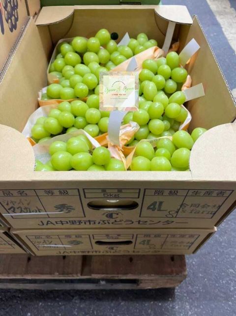 Japan Premium Nagano Shine Muscat Grapes