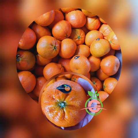 South Africa Premium Nadorcott Sweet Mandarins (Size XL)