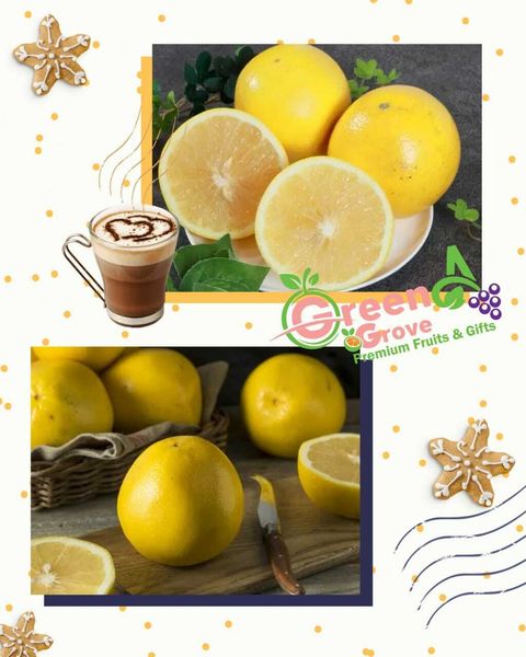  Juicy-Burst Premium Grapefruits 爆汁葡萄柚 (Size Jumbo)