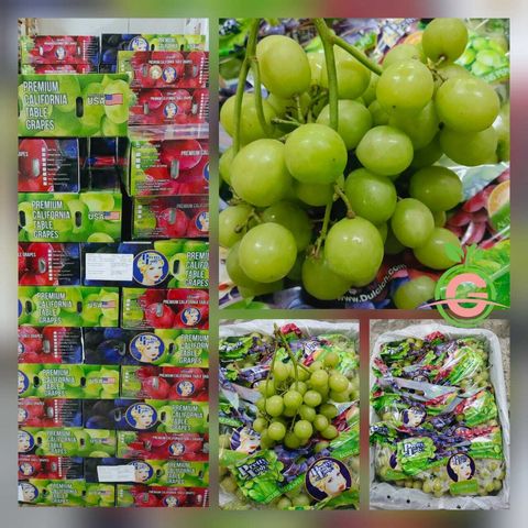 Air-Flown USA Premium Green Seedless Grapes (Autumn Crisp) (Size XL)