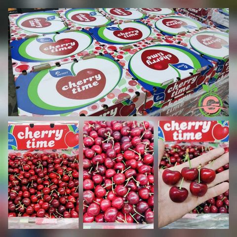 South Africa Premium Cherries (Size XL 26-28mm)