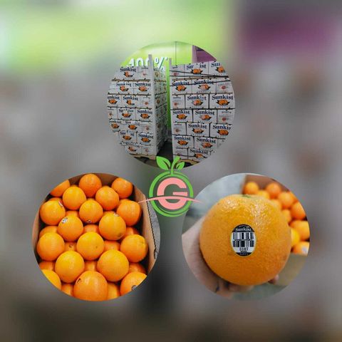 Australia Barnfield Sunkist Oranges (Premium Lane Late Navel) (Size L)