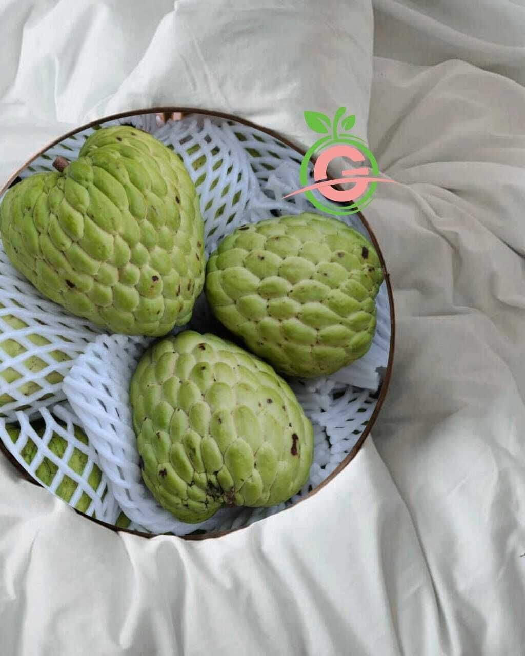 Thailand Premium Fresh Custard Apple 凤梨释迦 ~ 番荔枝 (Size 15A)