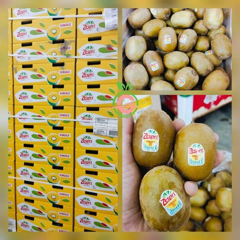 Italy Premium Sun Gold™ Kiwi (Size M)