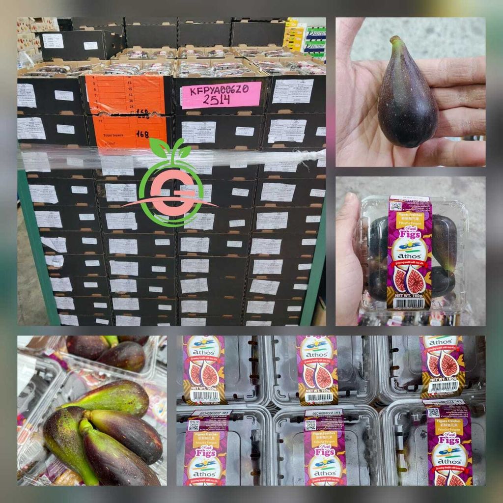 Peru Premium Fresh Elongated Black Figs (approx 160g per box)