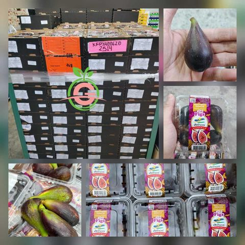 Peru Premium Fresh Elongated Black Figs (approx 160g per box)