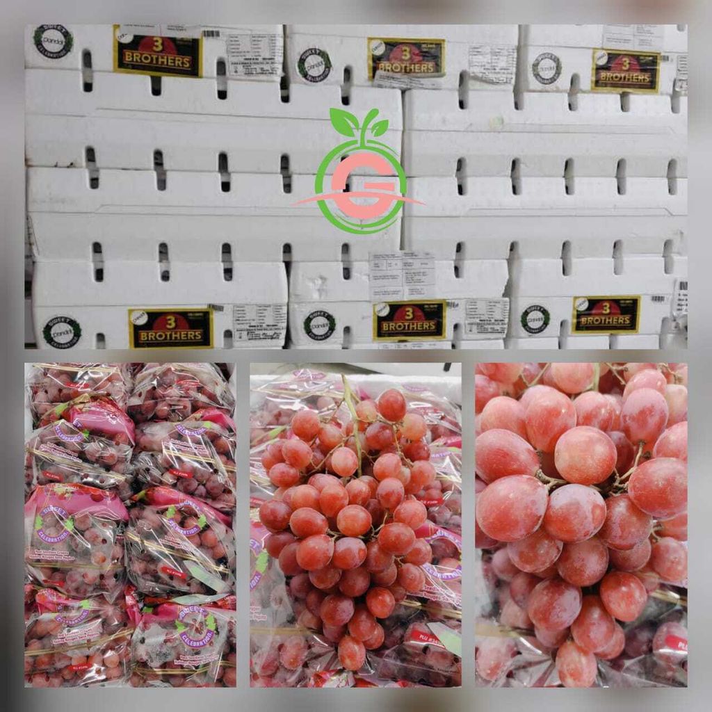 USA Premium Red Seedless Grapes (Sweet Celebration) (Size L)