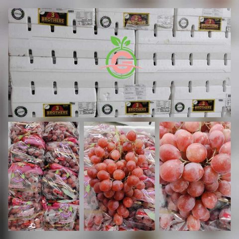 USA Premium Red Seedless Grapes (Sweet Celebration) (Size L)