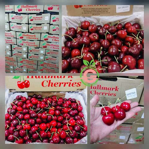 Australian Premium Cherries (Samba) (Size Jumbo 32-34mm)