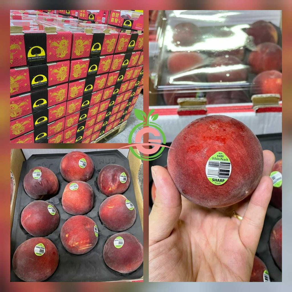 Australia Premium Fresh White Peaches 澳大利亚水蜜桃 (weighs appox. 1.5-2KG ea)