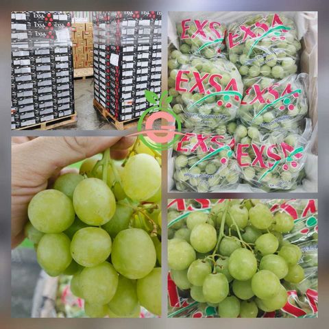 South Africa Green Seedless Grapes (Sweet Globe®) (KG)