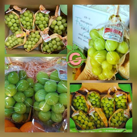 Japan Premium Nagano Shine Muscat Grapes (approx. 4-5KG) (Call for Price)