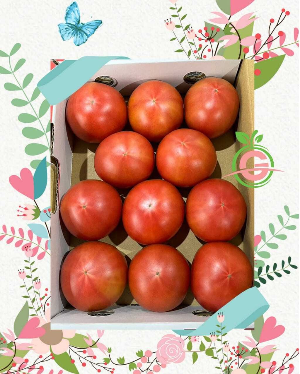 Japan Premium Fresh Amela Tomatoes (Size Big) (Call for Price)