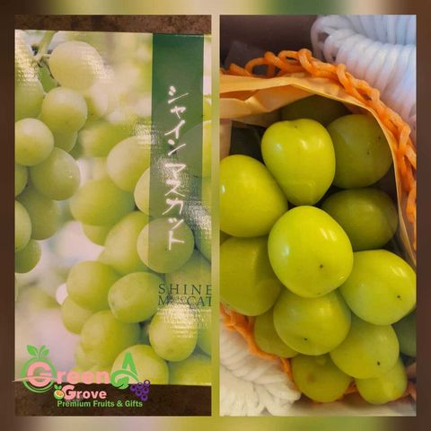Japan Premium Okayama Hareo Shine Muscat Grapes (approx. 1KG per Jumbo bunch)