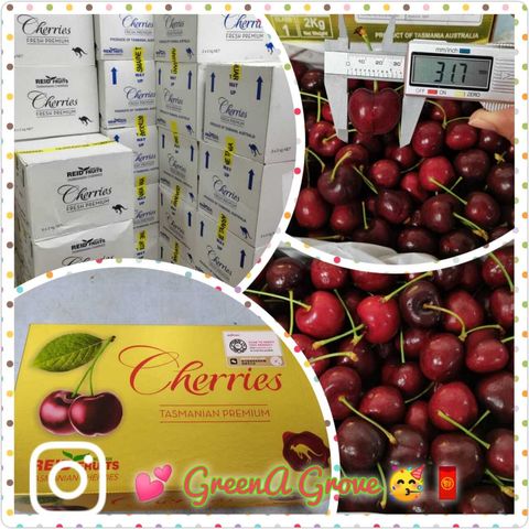 Australia Premium Fresh Tasmanian Red Cherries (Simone) (26mm & 30mm)