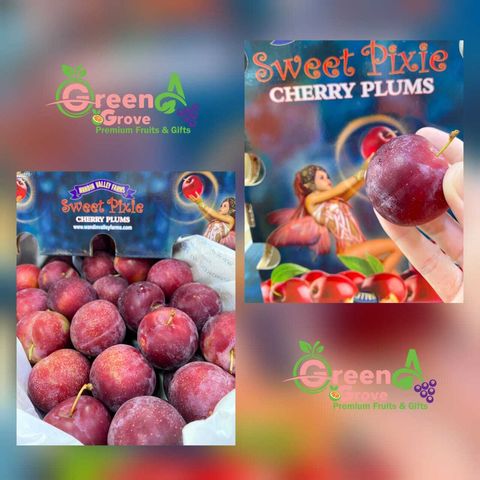 Australia Premium Cherry Plums (Sweet Pixie®) (Size 44mm - approx 2KG)