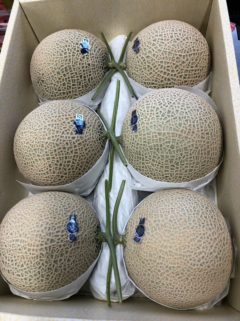 Japan Premium Greenhouse Shizuoka Crown Green Melon 静岡クラウンメロン (approx 8KG+ per carton)
