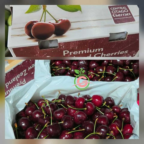 New Zealand Premium Red Envy Staccato Fresh Cherries (Size 30mm)
