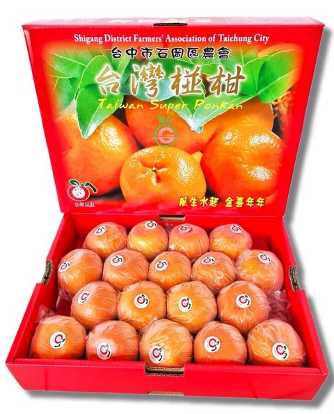 Taiwan Premium Original Super Ponkan 台湾原装特秀椪柑 (Size XL)