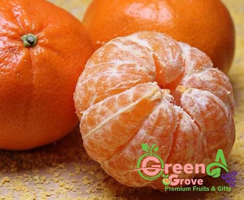 Yong Chun Premium Champion Honey Mandarins (Lokam) 精选永春鲜甜可口冠军芦柑 (Size L)