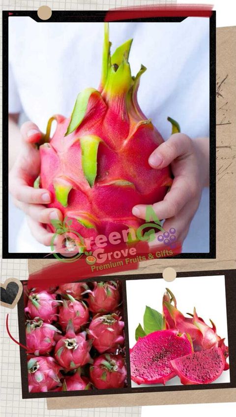 Johor Premium Red Dragon Fruits (Size Jumbo)