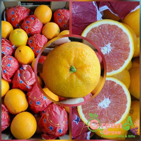 Egypt Premium Cara Cara Navel Oranges (Size 2XL)