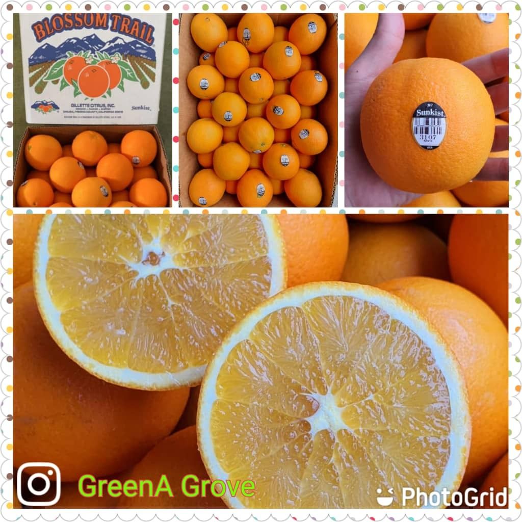 USA Mt. Whitney Barnfield Sunkist Oranges (Premium Lane Late Navel) (Size XL)