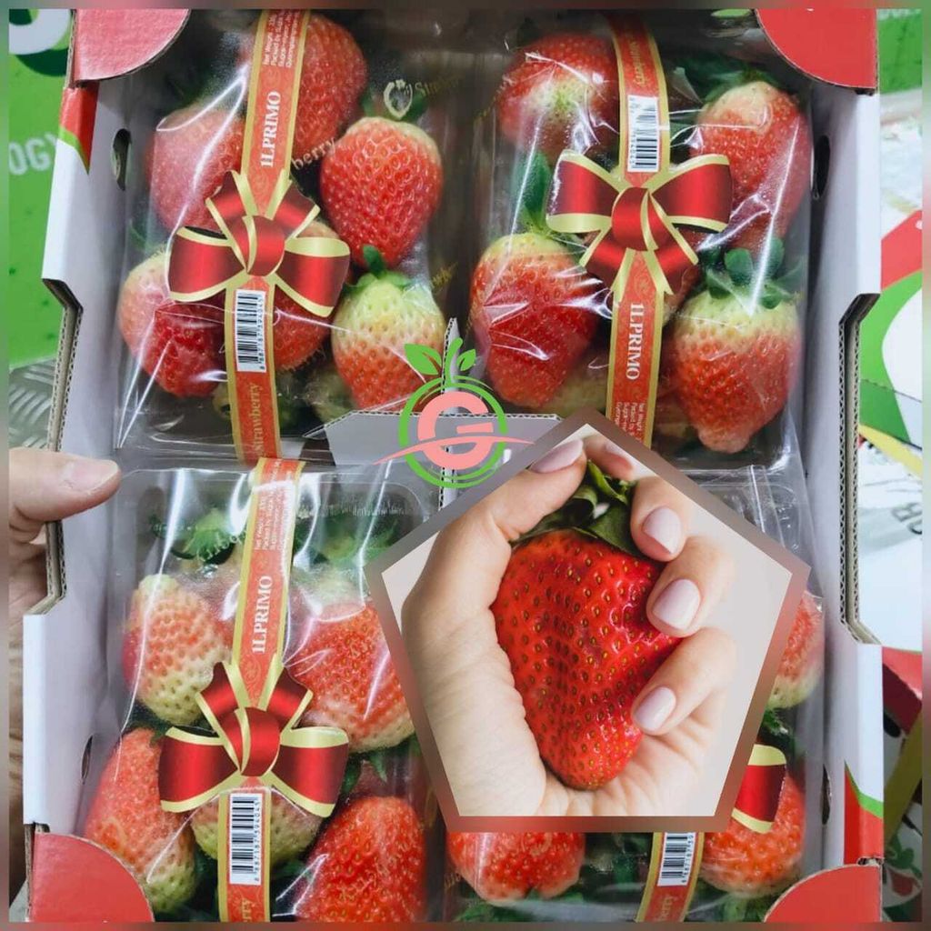 Korea Premium Fresh Jumbo Strawberries (Size 2XL)