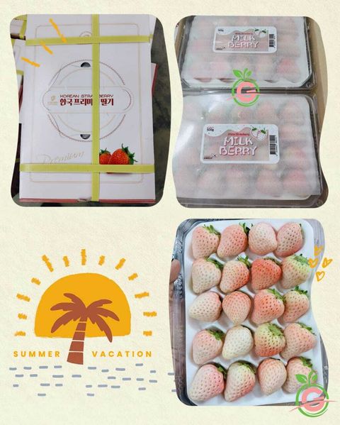 Korea Premium Fresh Pearl White Milk Strawberries (approx 500gms per Gift Box)