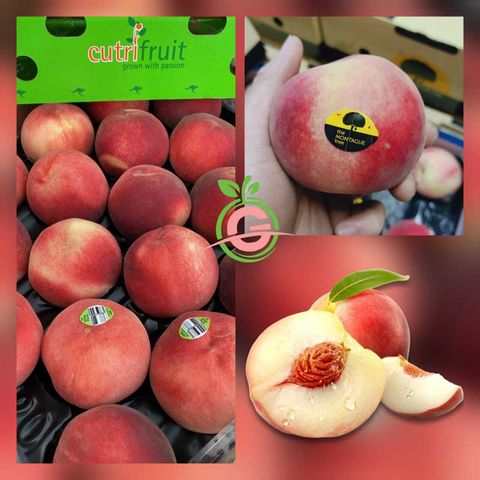 Australia Premium Fresh Autumn Snow White Peaches 澳大利亚水蜜桃 (4KG with 18 Pieces per Gift Carton)