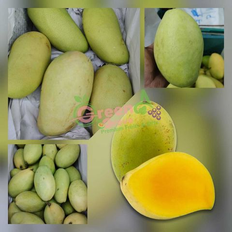 Thailand Premium Gold Susu Mangoes (Size Big 10A)