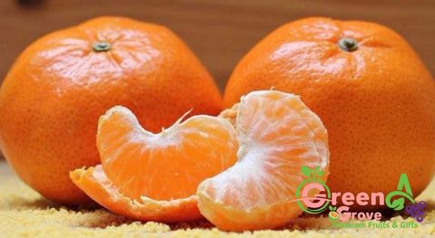 WhatsApp Image 2023-02-17 at 04.18.39