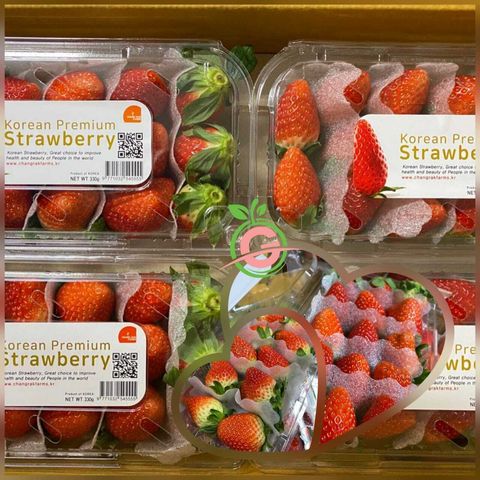 Korea Premium Fresh Jumbo Strawberries (Size 2XL, 10-12 Jumbo Pieces)