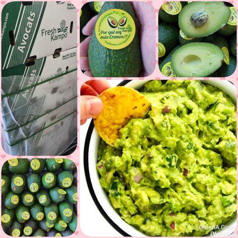 Mexico Premium Hass Avocados