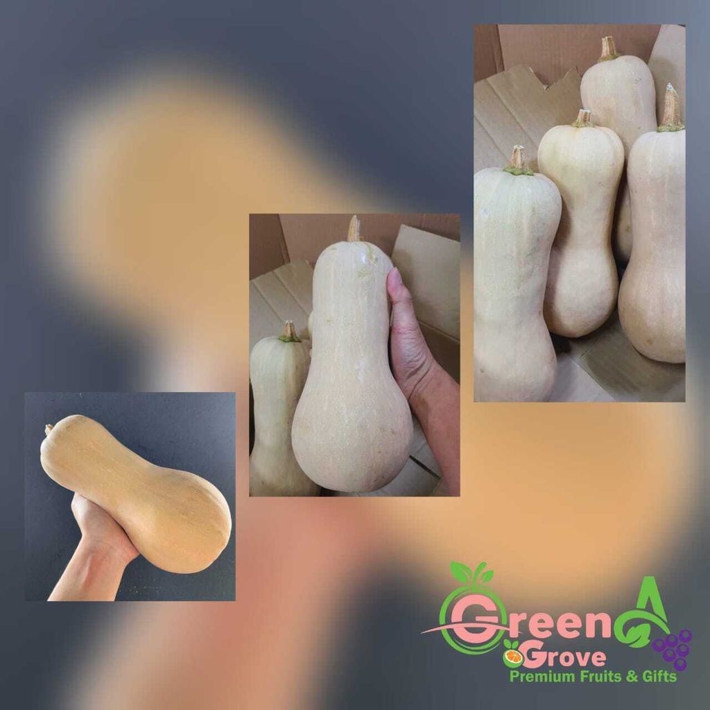 Australia Variety Premium Butternut Squash 油桃果南瓜 : 胡桃南瓜 (approx. 1.5 - 2KG each)