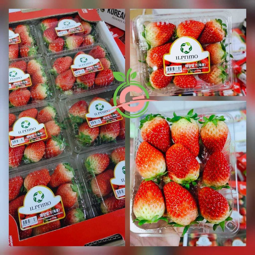 Korea Premium Fresh Maehyang Strawberries 韩国“每香”草莓 (Size L)