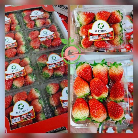 Korea Premium Fresh Maehyang Strawberries 韩国“每香”草莓 (Size L)