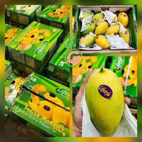 Air-Flown India Premium Mangoes (Banaganapalli) (approx. 450 - 750gm per piece)