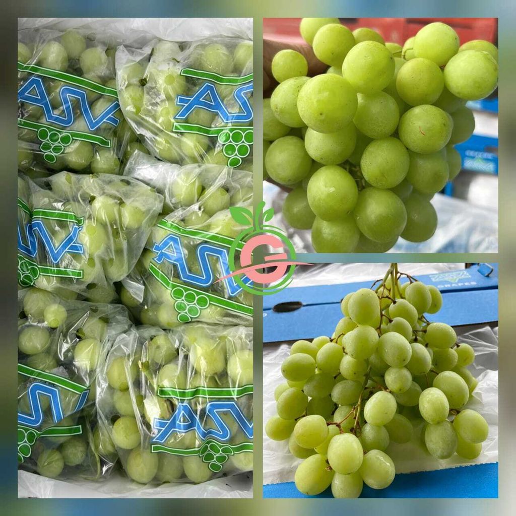 South Africa Premium Green Seedless Grapes (Sweet Globe®) (Size XL)