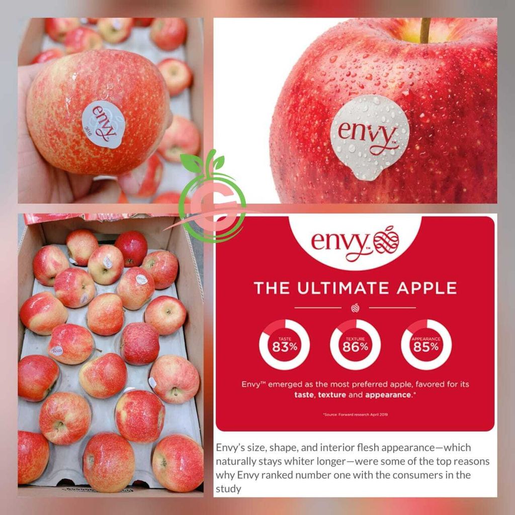 France Premium Envy™ Apples (Scilate) (Size M)